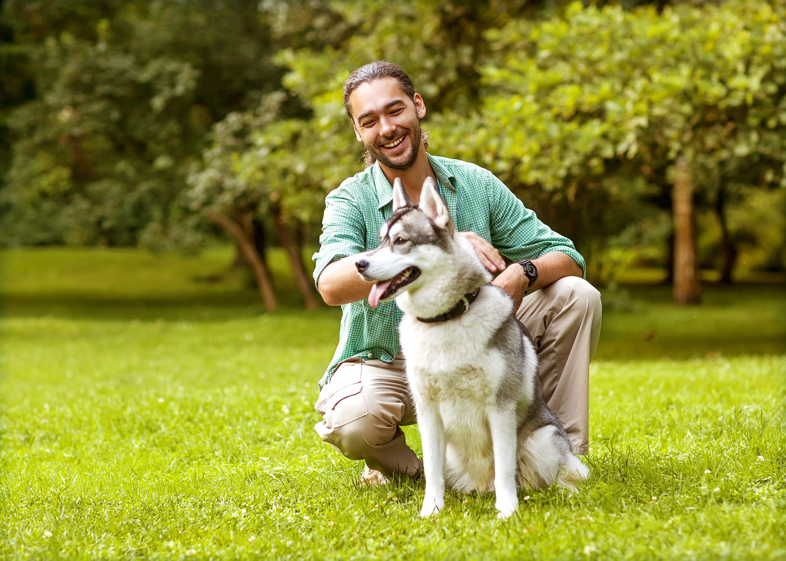 The Importance of Utilizing Dog Walking Services While You’re at Work